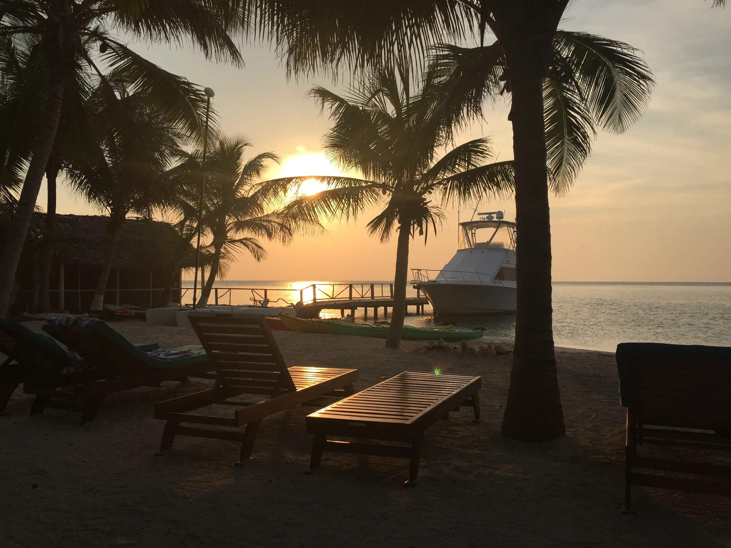 Your Belize Summer Vacation: Why Stay at Thatch Caye