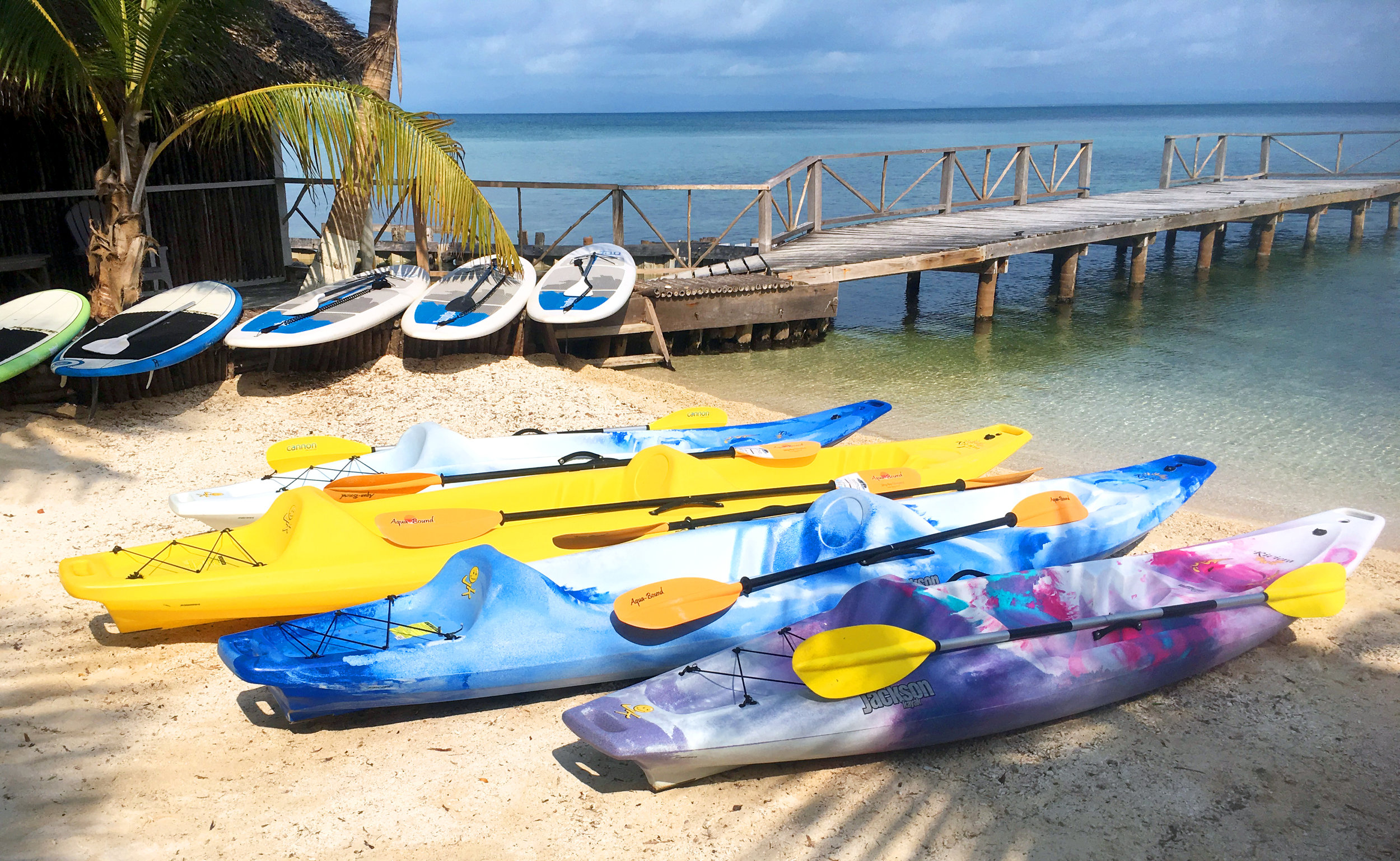 kayaks copy.jpg