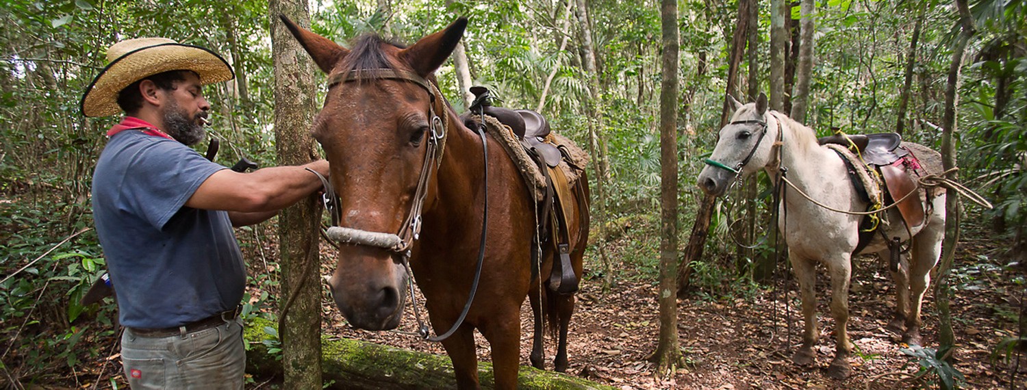 Jungle Horseback Riding in Belize
