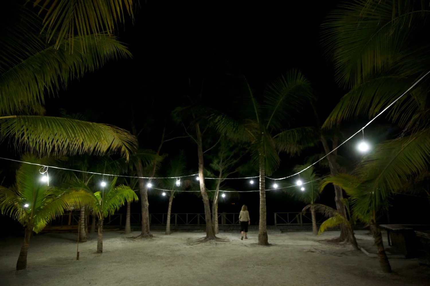 Whole Island Rental in the Caribbean