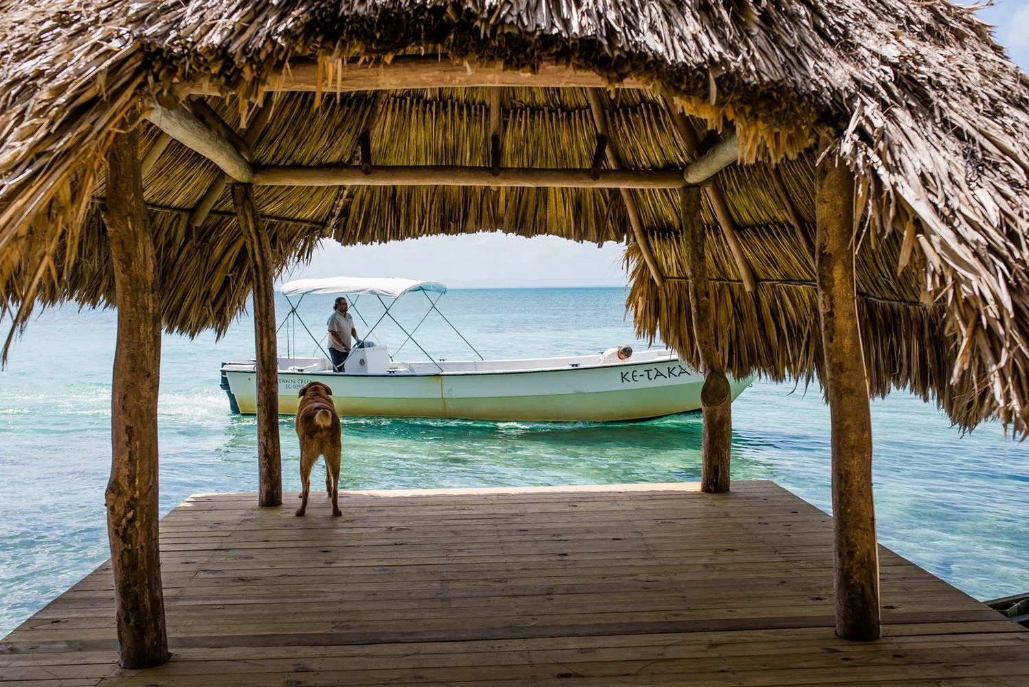 Whole Island Rental in the Caribbean