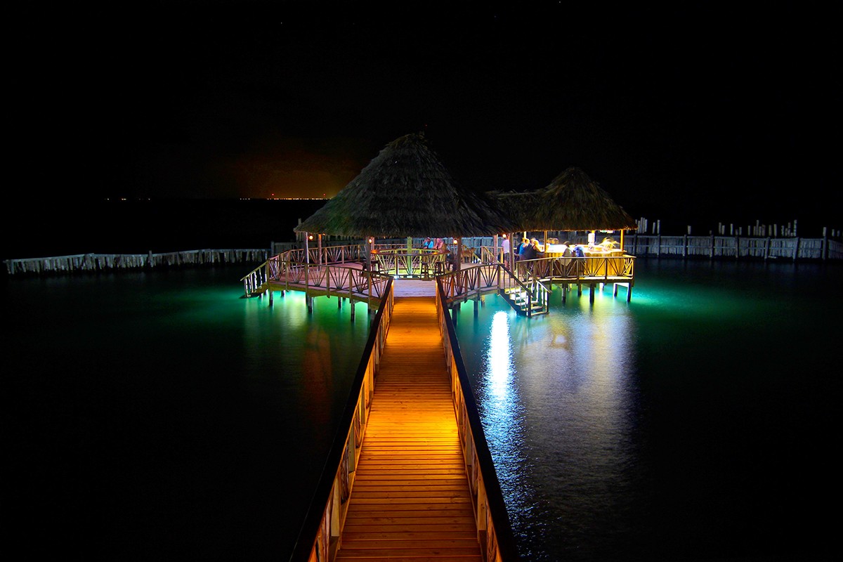 Starfish Bar at Night