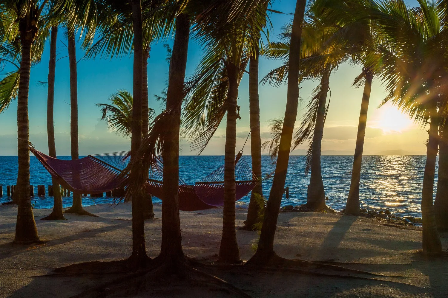 Island - Taken By Dylan Rose