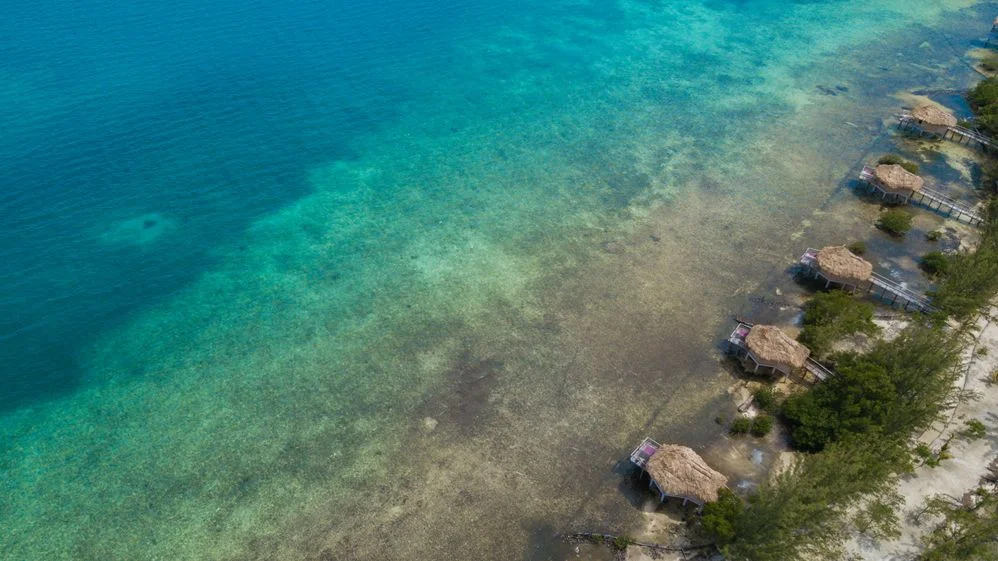 Enjoy the Caribbean Sea