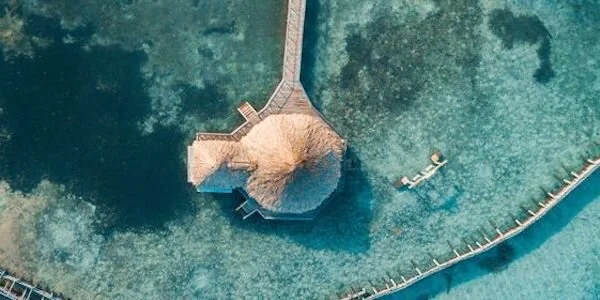 Copy of CL-0010 (1) copy.jpeg