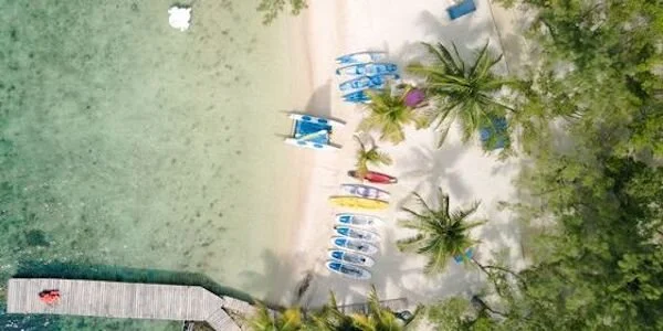 Copy of CL-0039 (1) copy.jpeg