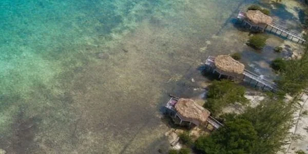 Copy of CL-0057 (1) copy.jpeg