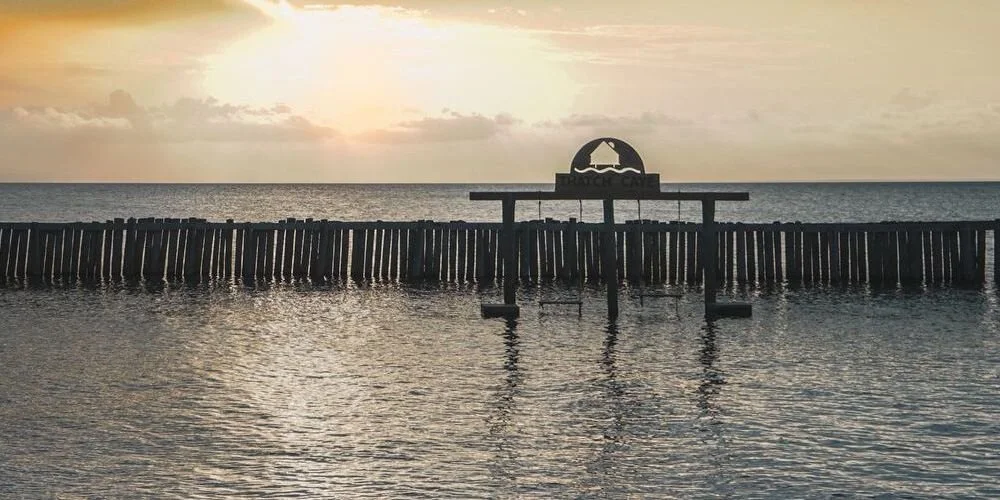 Copy of CL-01498 (1) copy.jpeg