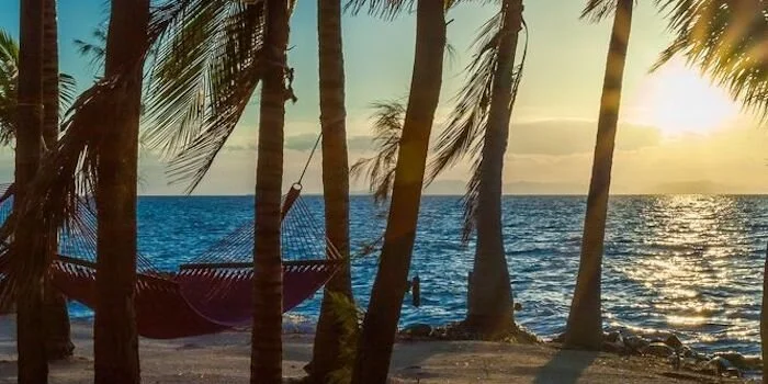 Copy of Dylan_Rose-13 copy.jpeg