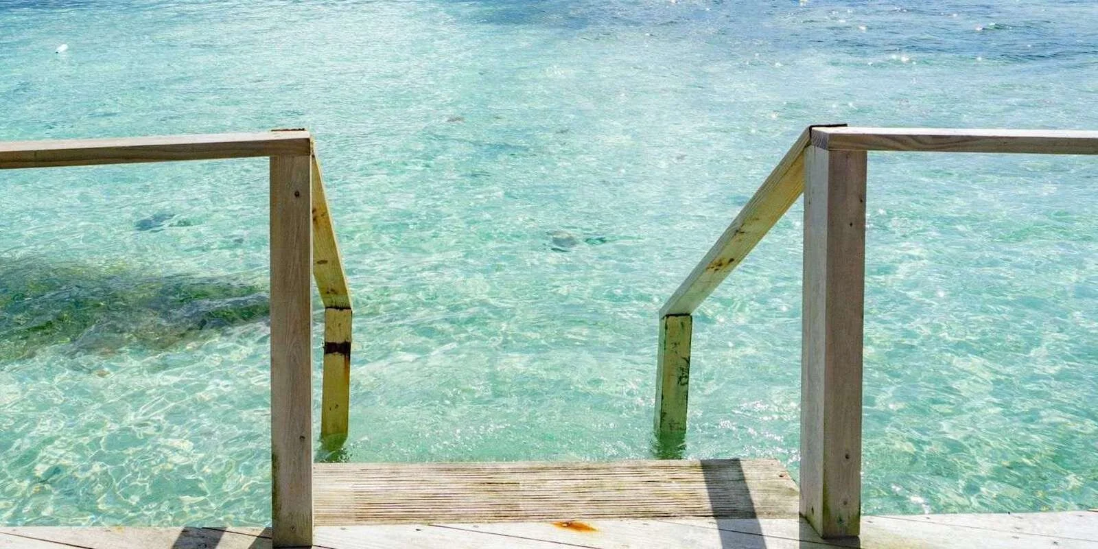 DSC03035 (1) copy.jpeg