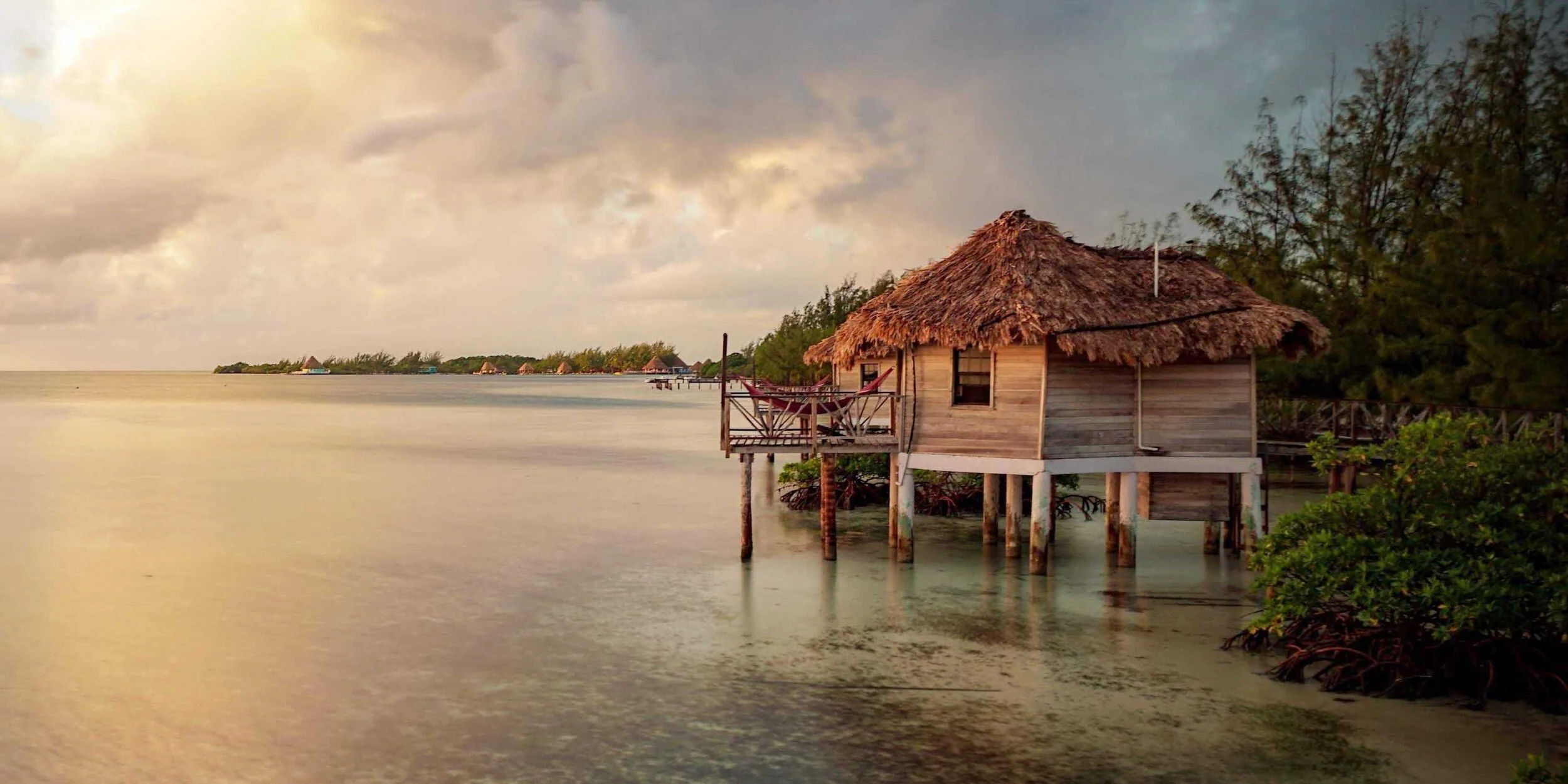 DSC02868 (1) copy.jpeg