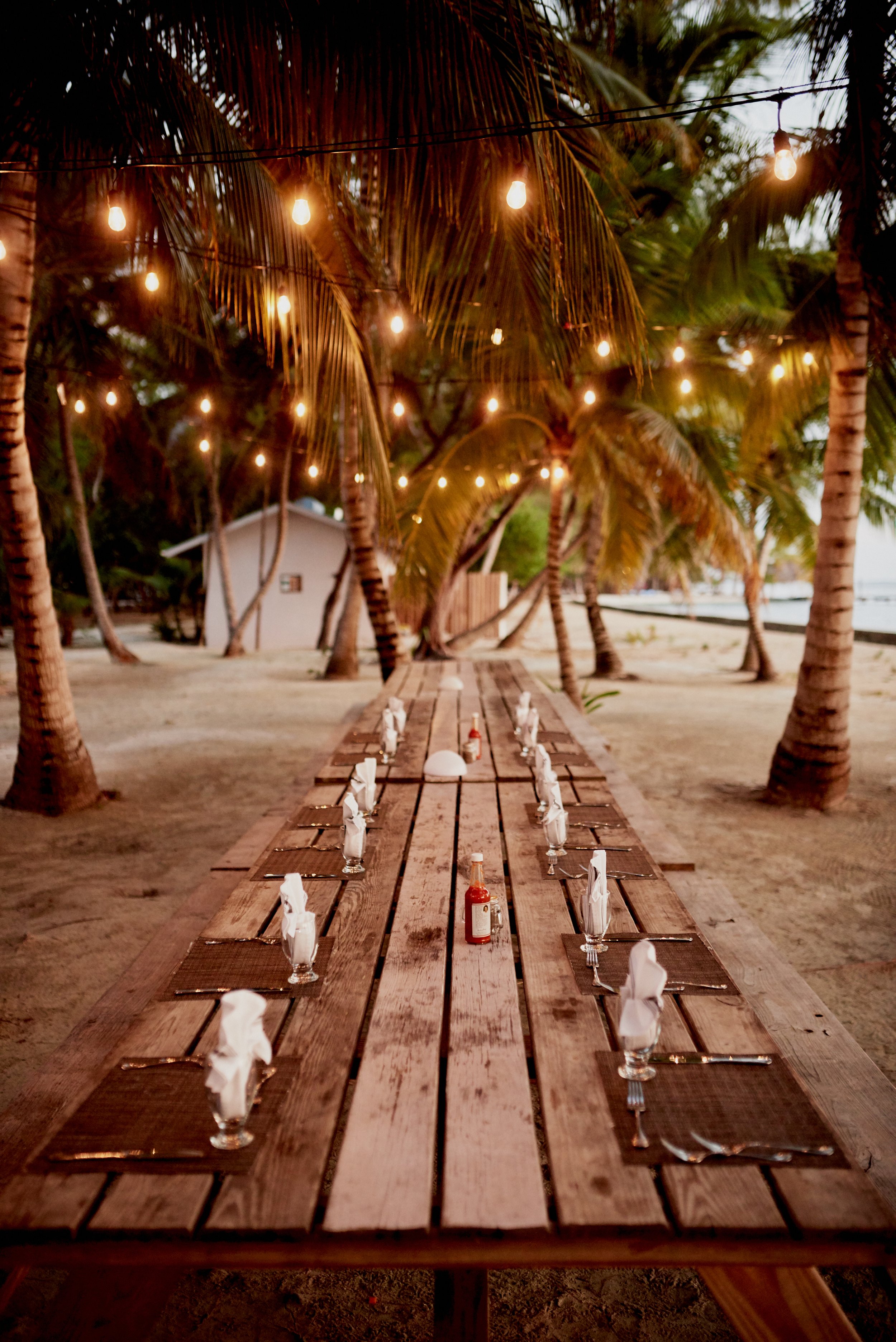   Dine Under the Stars  