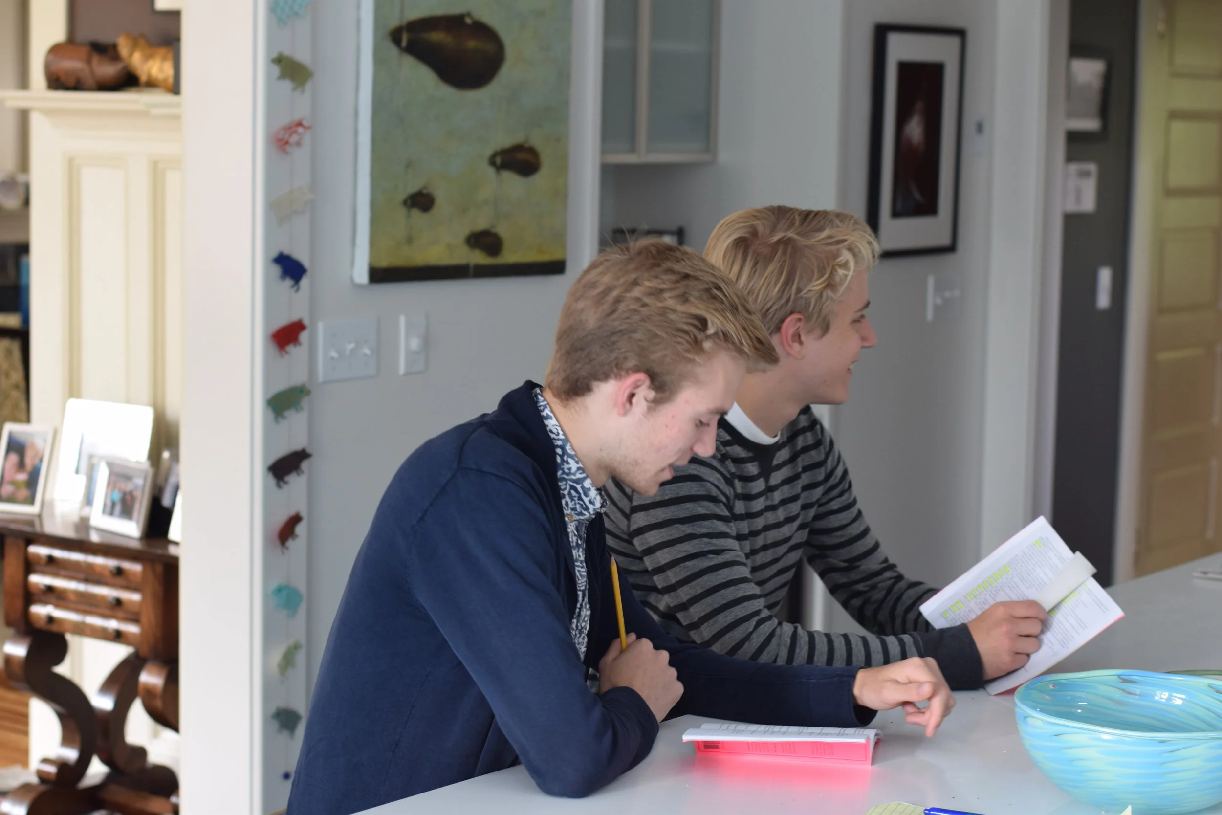 Punk Rock Rehearsals