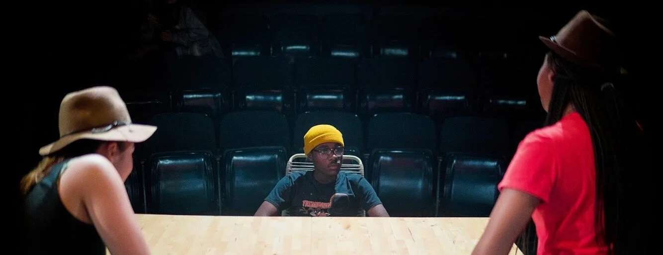 Mr. Burns: A Post Electric Play (Season 12)