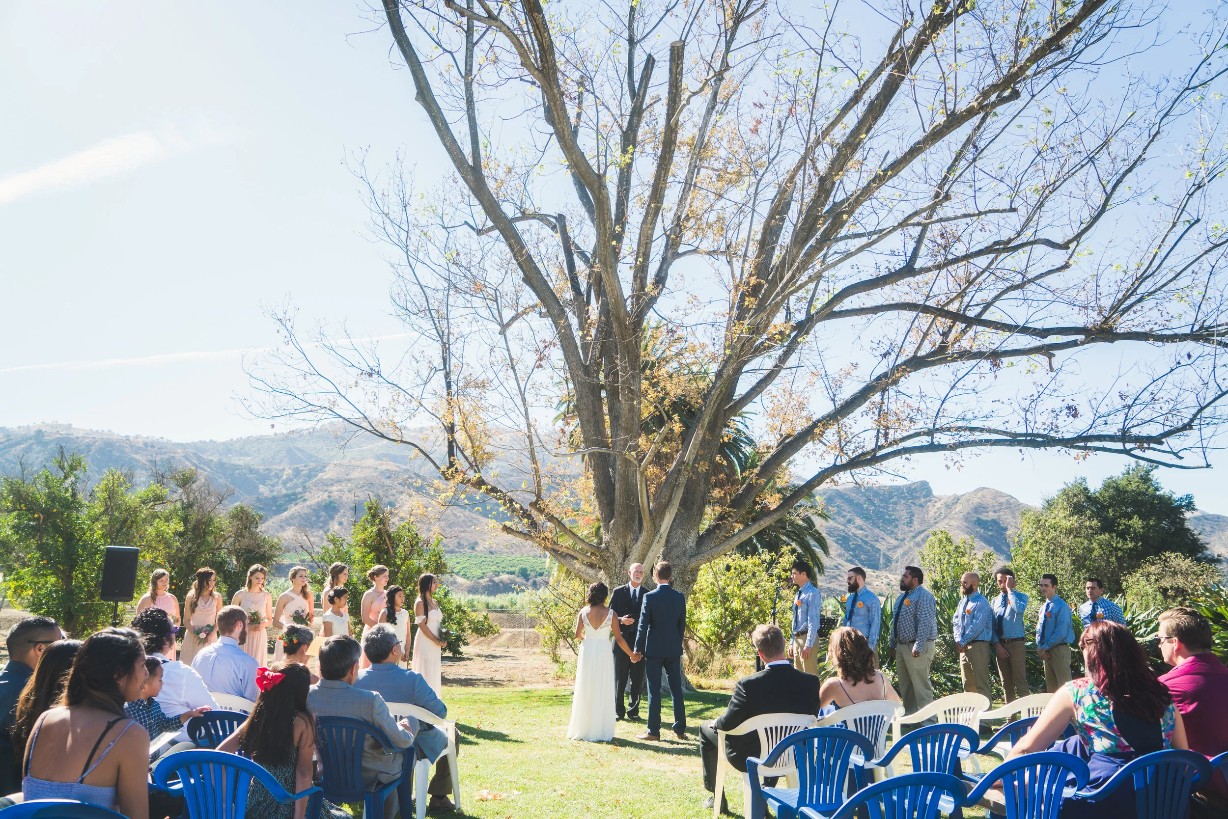 rotjwedding 200.jpg