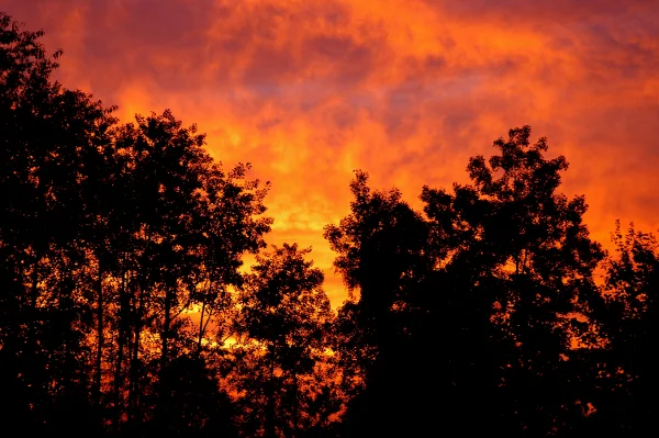 firesky.JPG