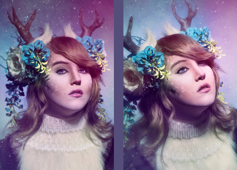 Winter Fawn
