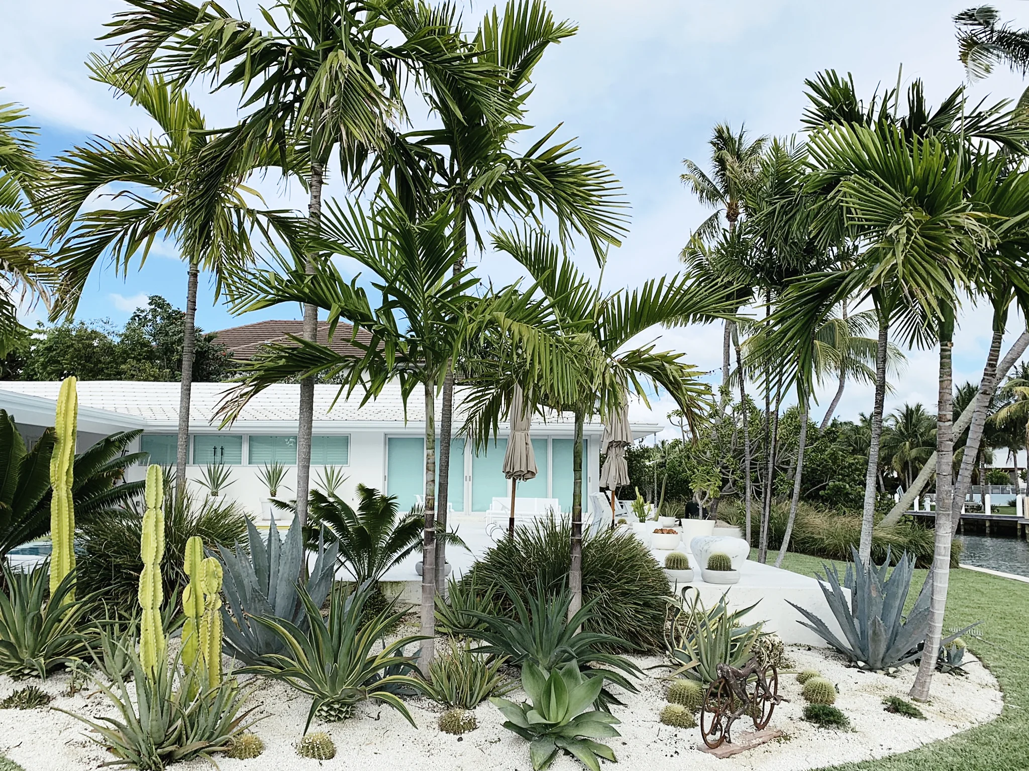 MORELEMPIRE_MOREL_EMPIRE_MIAMI_LANDSCAPE_PROJECTS_ IMG_9927.JPG