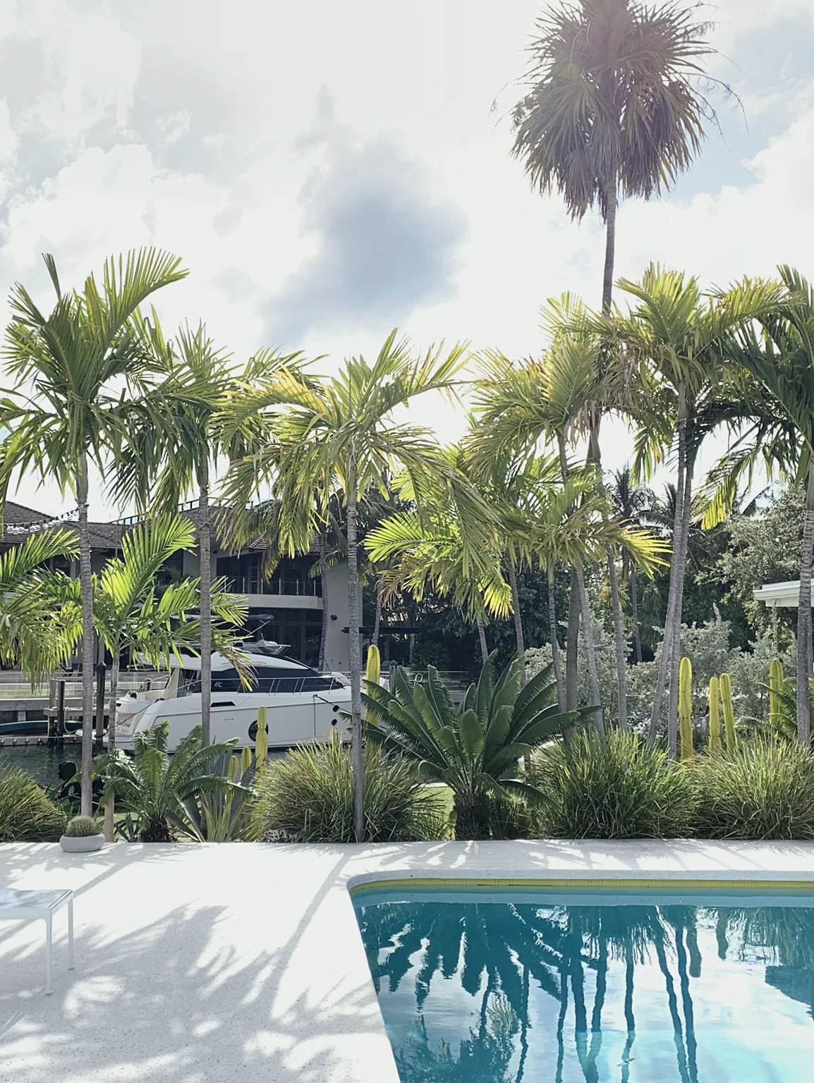 MORELEMPIRE_MOREL_EMPIRE_MIAMI_LANDSCAPE_PROJECTS_ IMG_9930.JPG