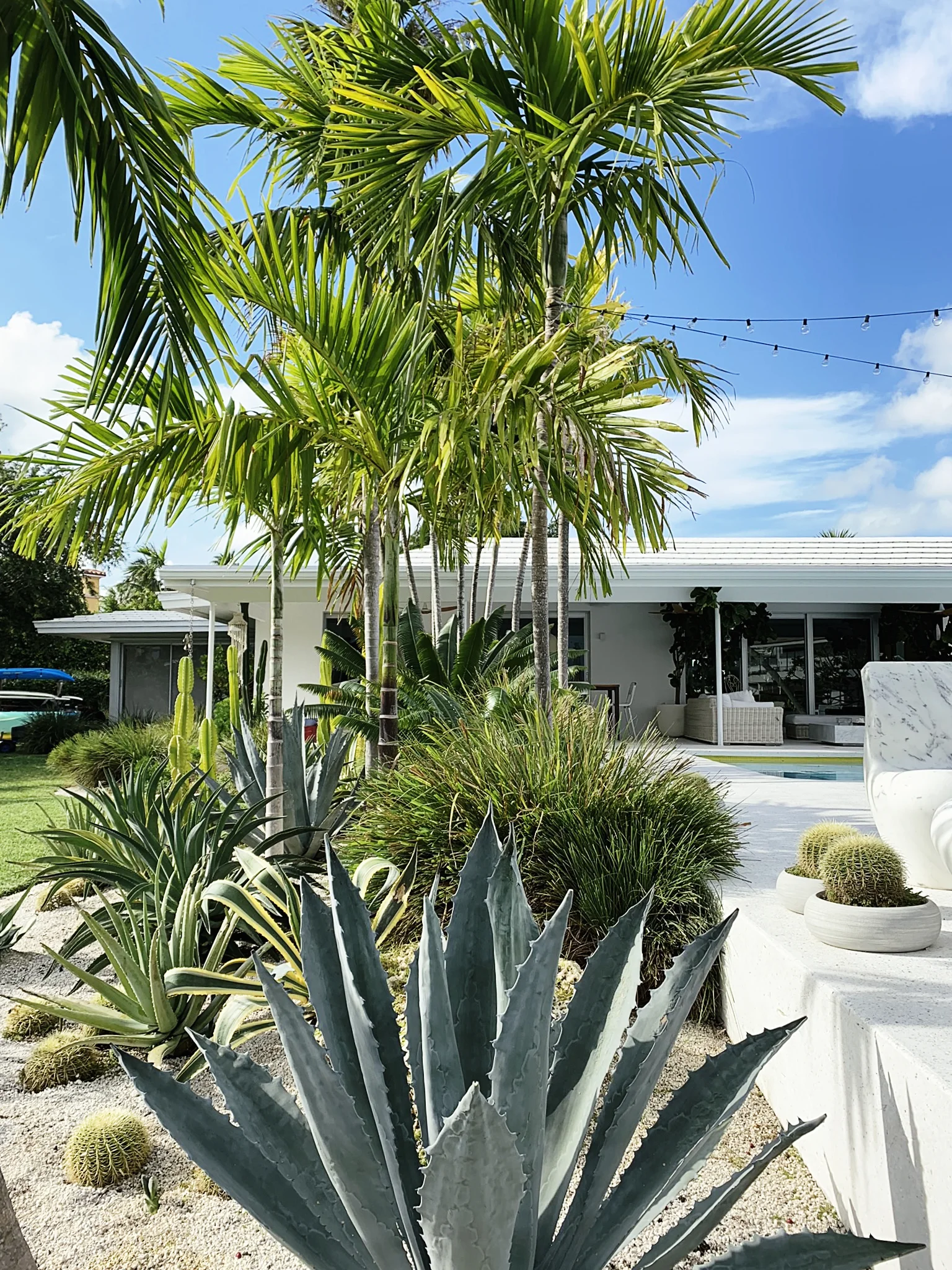 MORELEMPIRE_MOREL_EMPIRE_MIAMI_LANDSCAPE_PROJECTS_ IMG_9932 2.JPG