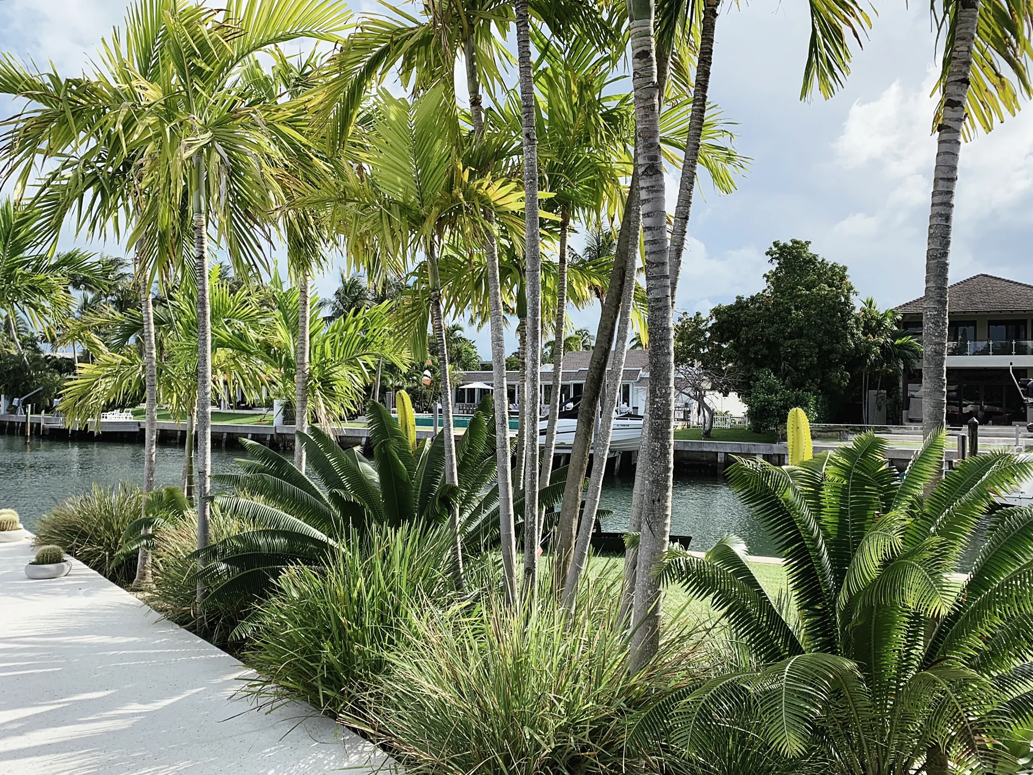 MORELEMPIRE_MOREL_EMPIRE_MIAMI_LANDSCAPE_PROJECTS_ IMG_9931 2.JPG