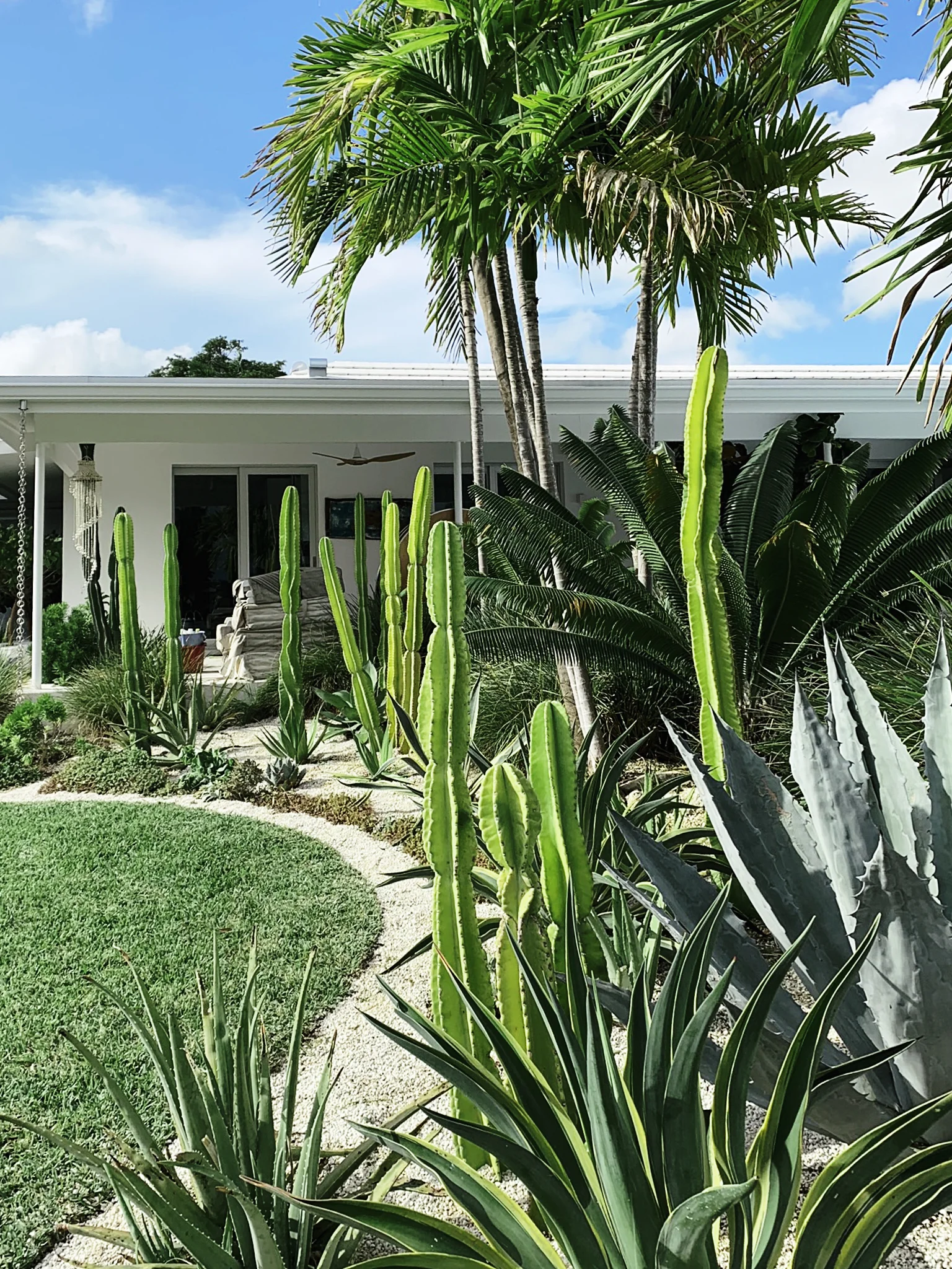 MORELEMPIRE_MOREL_EMPIRE_MIAMI_LANDSCAPE_PROJECTS_ IMG_9933 2.JPG