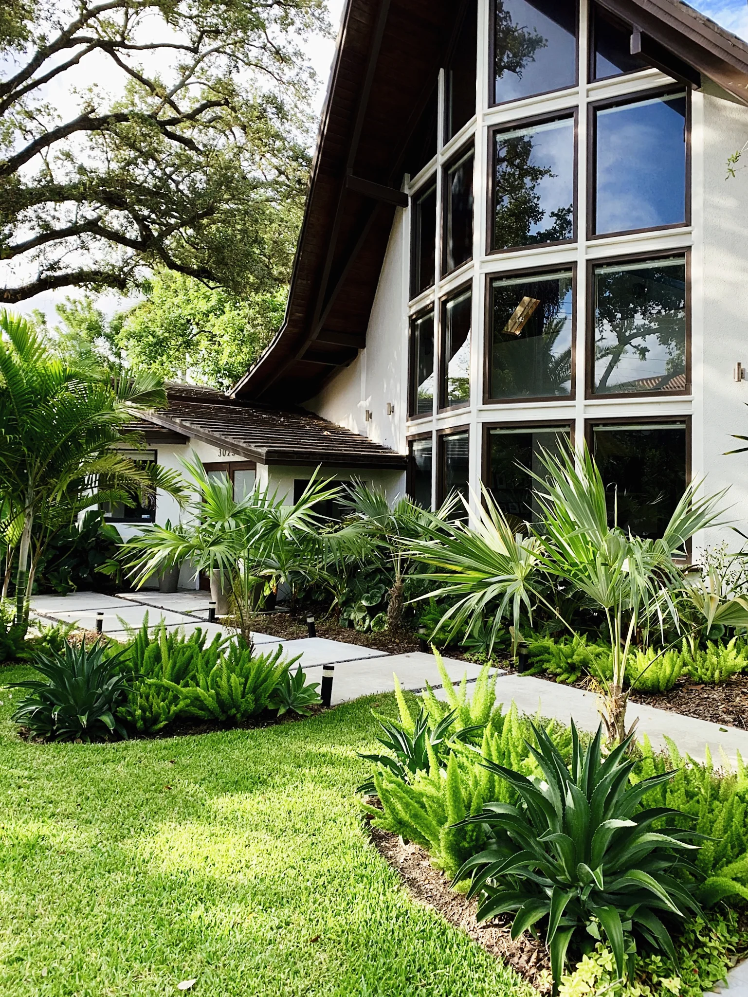 MORELEMPIRE_MOREL_EMPIRE_MIAMI_LANDSCAPE_PROJECTS_ IMG_9935.JPG