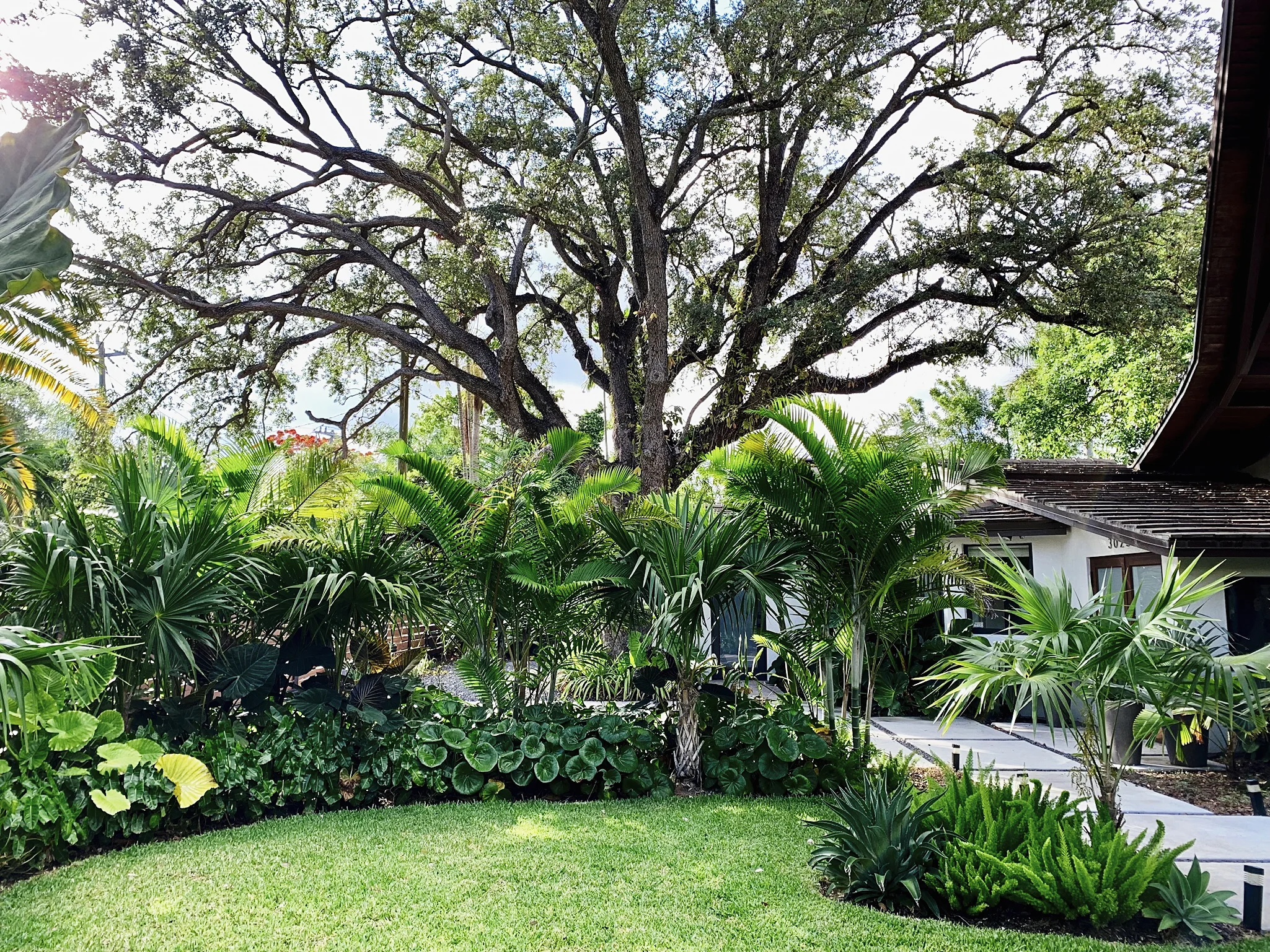 MORELEMPIRE_MOREL_EMPIRE_MIAMI_LANDSCAPE_PROJECTS_ IMG_9936.JPG