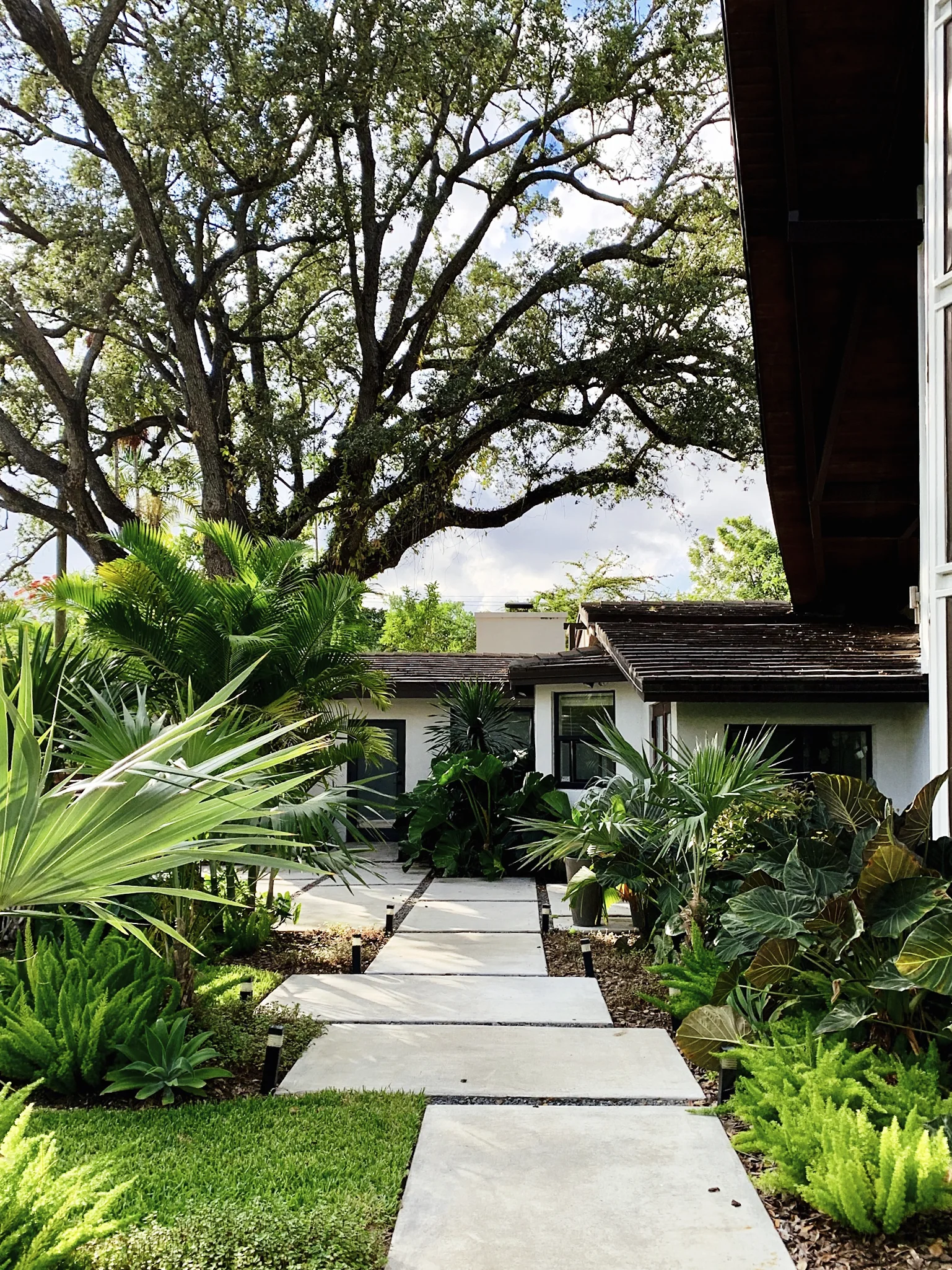 MORELEMPIRE_MOREL_EMPIRE_MIAMI_LANDSCAPE_PROJECTS_ IMG_9939.JPG