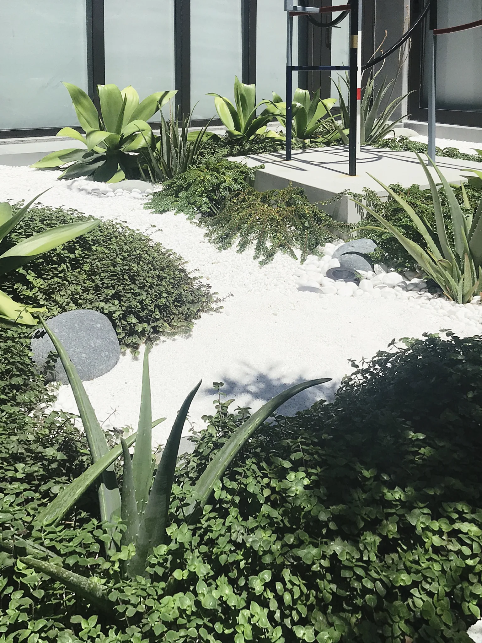 NOREMAC_MORELEMPIRE_MOREL_EMPIRE_MIAMI_LANDSCAPE_PROJECTS_ IMG_9926.JPG