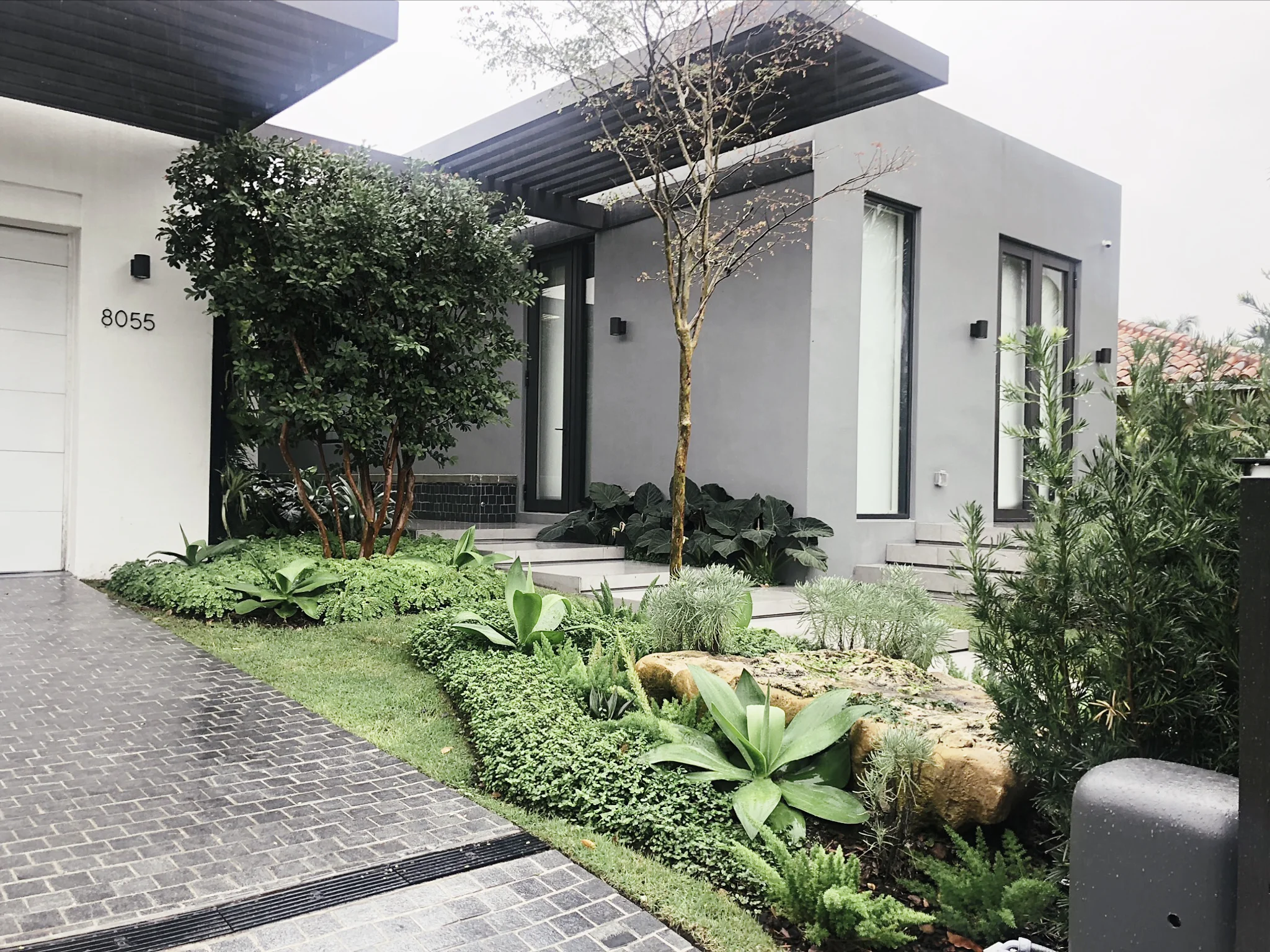 NOREMAC_MORELEMPIRE_MOREL_EMPIRE_MIAMI_LANDSCAPE_PROJECTS_ IMG_9914.JPG