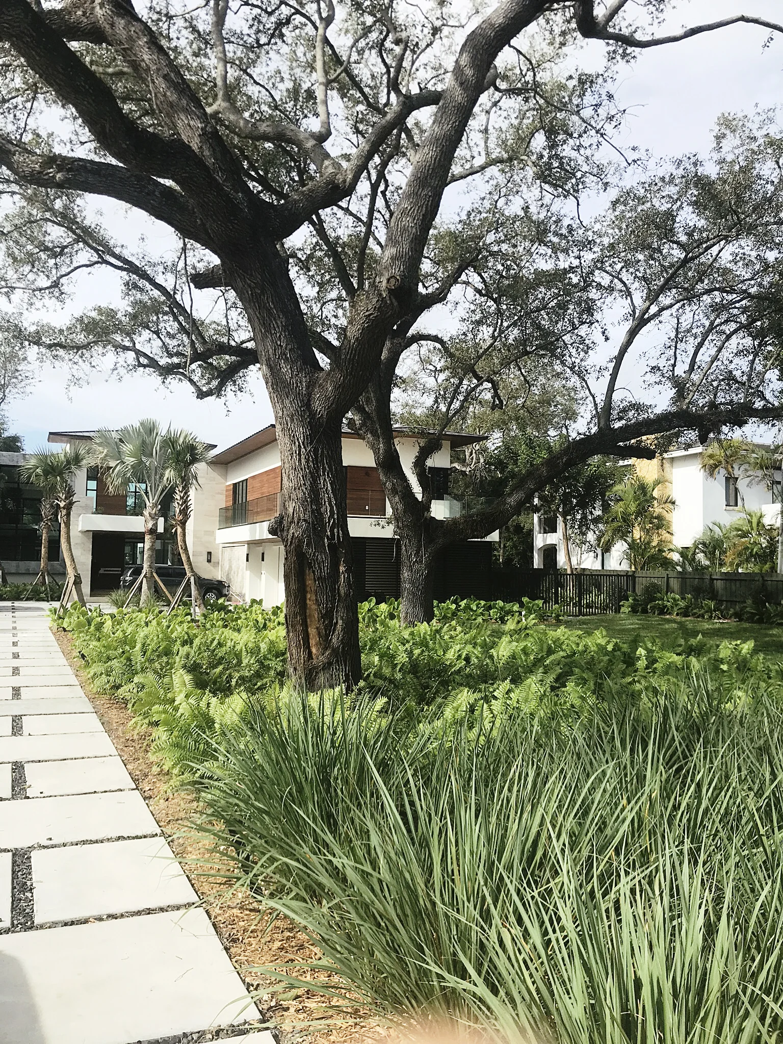 PINECREST_MORELEMPIRE_MOREL_EMPIRE_MIAMI_LANDSCAPE_PROJECTS_ IMG_9912.JPG