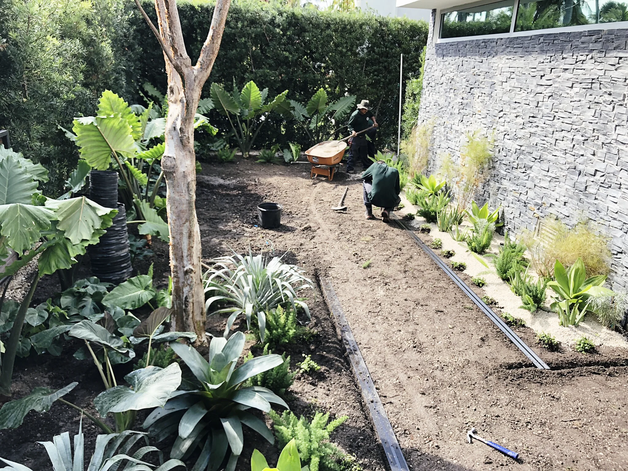 SUNSET_MORELEMPIRE_MOREL_EMPIRE_MIAMI_LANDSCAPE_PROJECTS_ IMG_9916.JPG