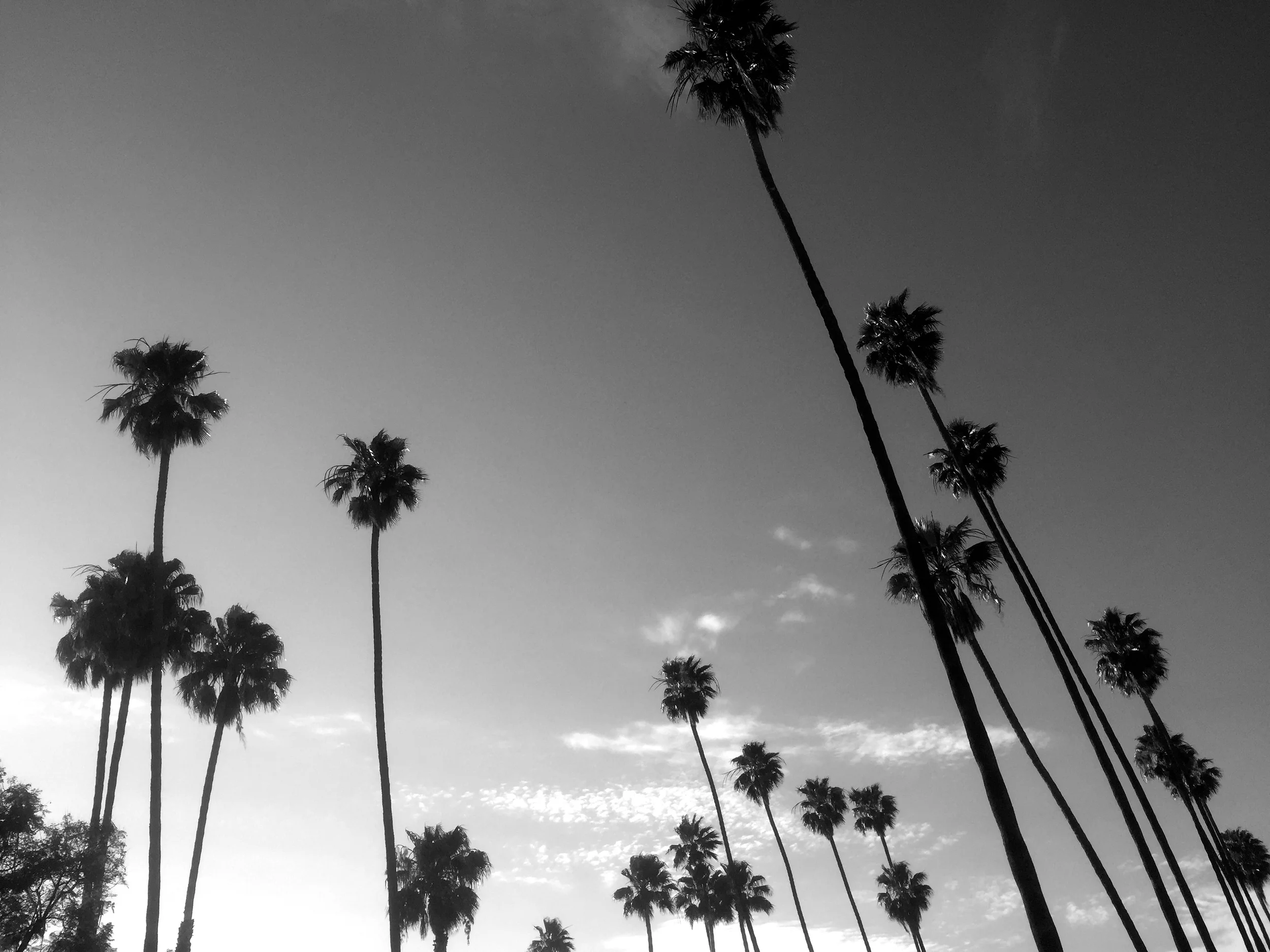 L.A. Photo Diary