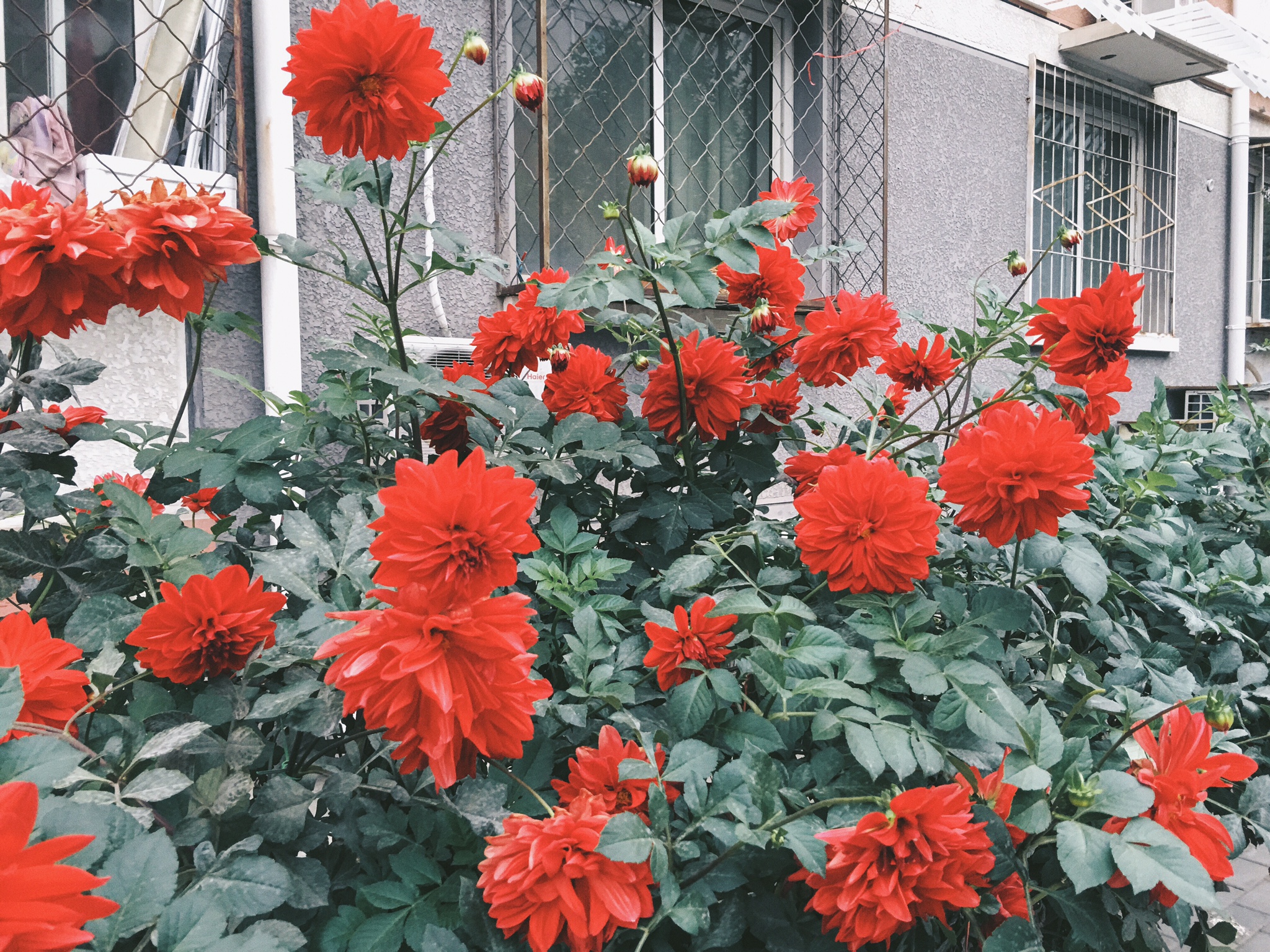 Left My Heart in Beijing