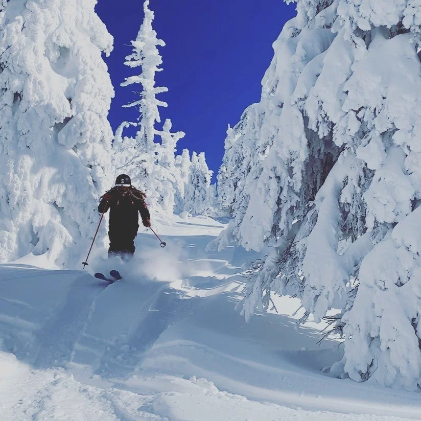 This week we are chasing powder and playing shows in one of our places on earth!
Revelstoke this Thursday &amp;Friday! ❄️🏔 🎶🏂 www.slyviolet.com/shows