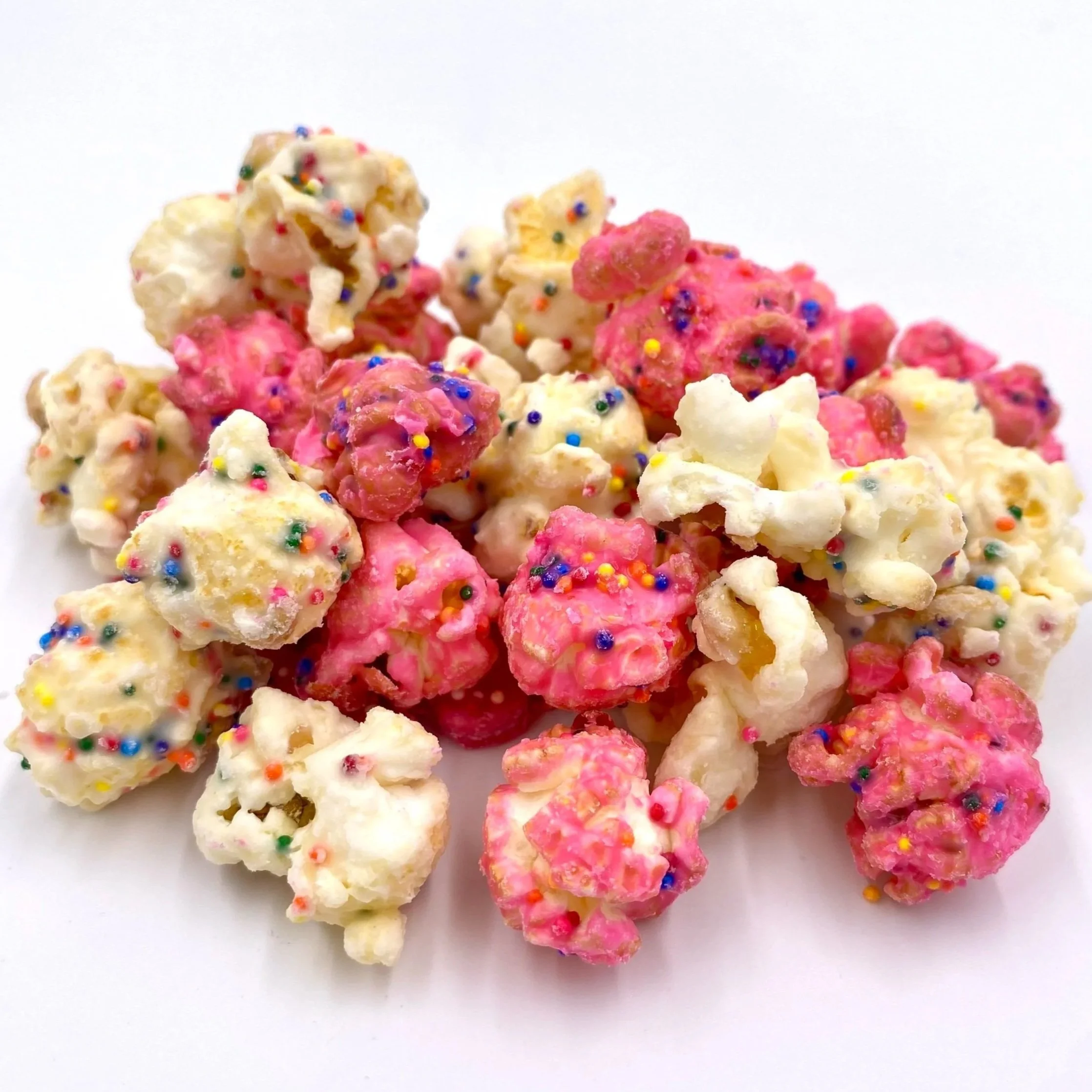 Frosted%2BAnimal%2BCookie%2B%25281%2529.jpg