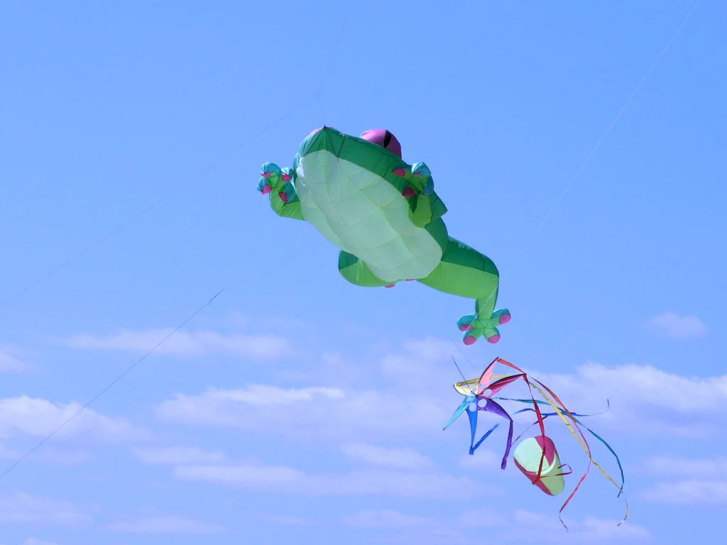 kite03.jpg