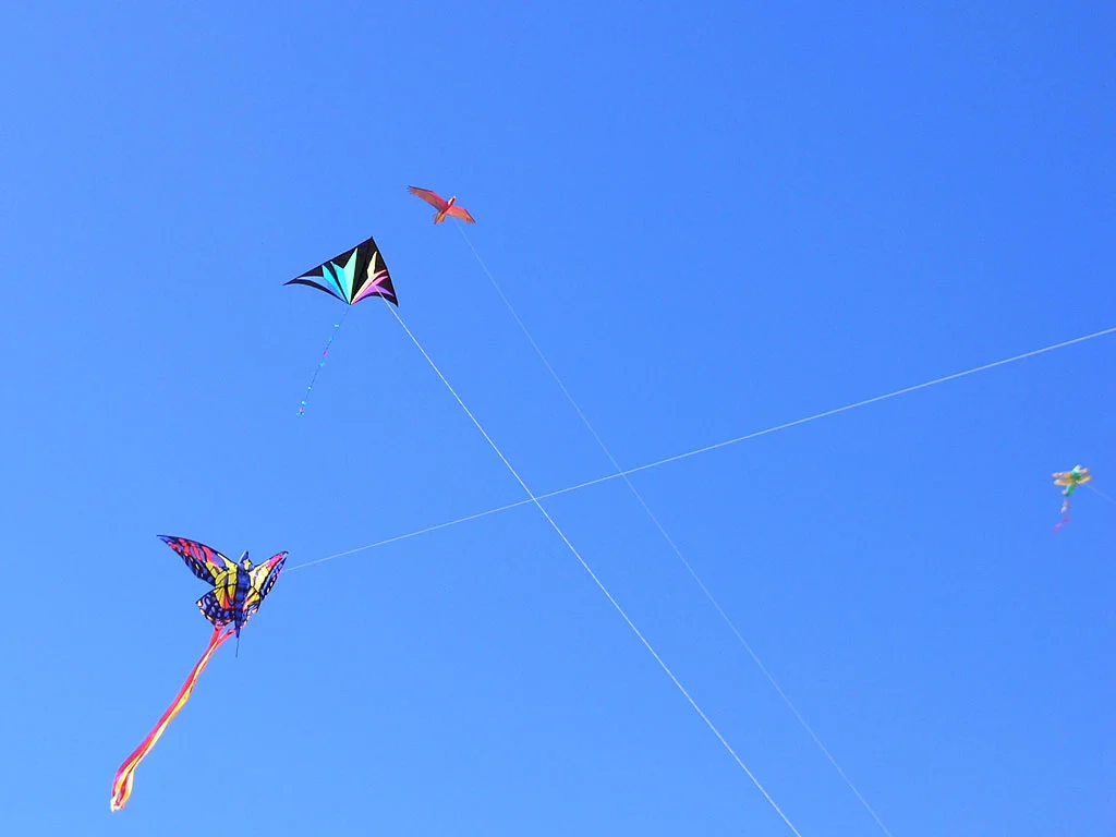 kite04.jpg