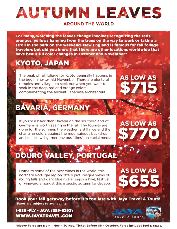 Autumn Leaves Infographic and Fares