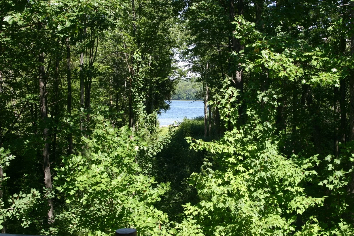 Looking toward the lake from the living room