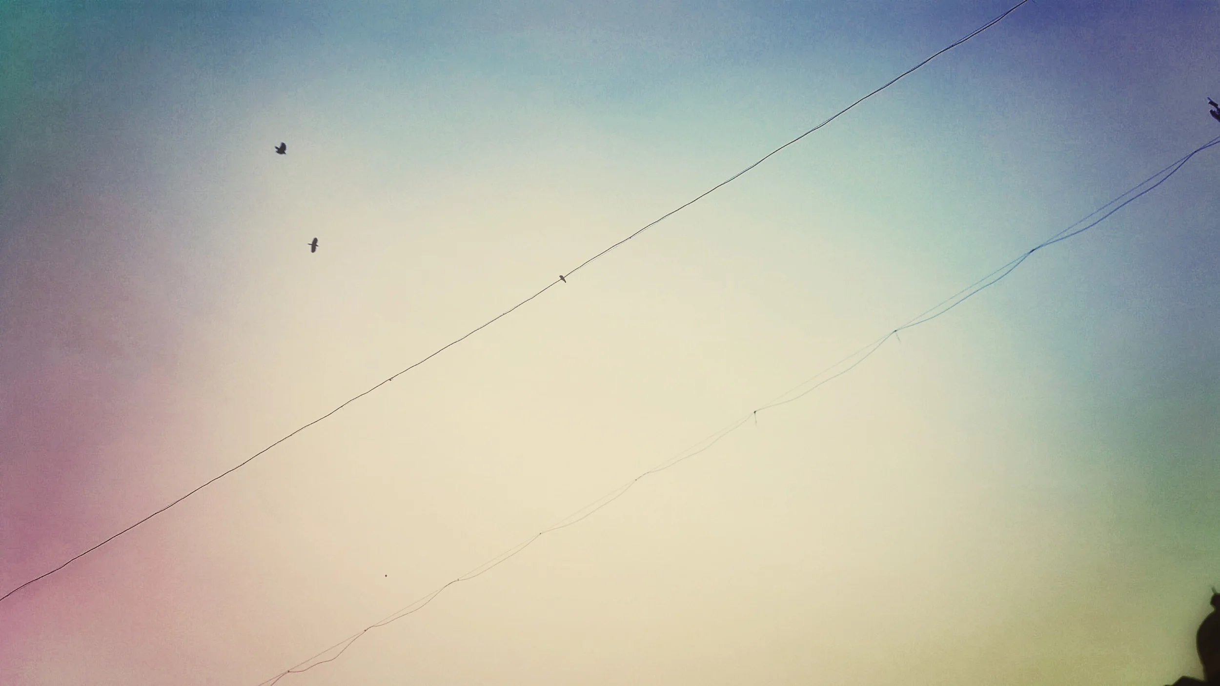 2015-01-20+18.23.44_1.jpg