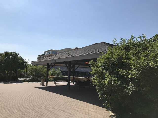 free speech pavillion 1.jpg