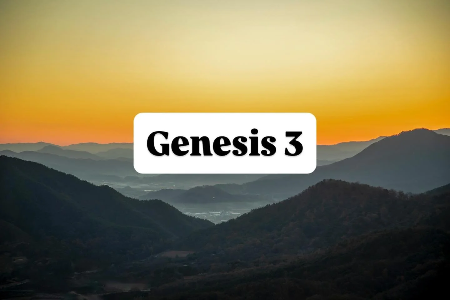 Join us this Sunday as we look at Genesis 3 together. 10 AM in downtown Naperville. #church #naperville