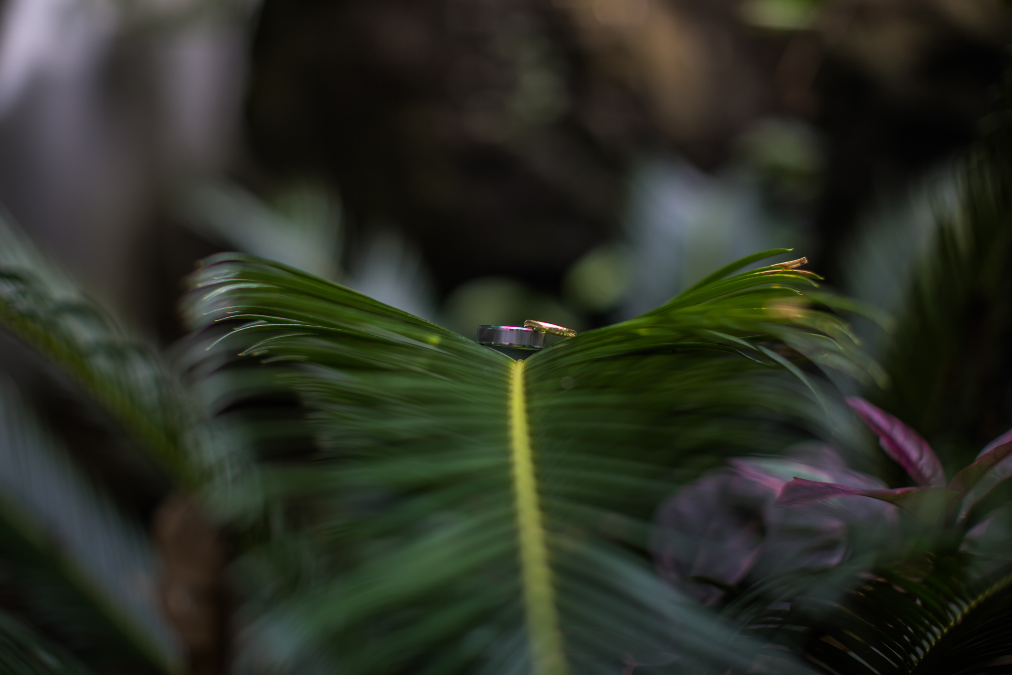 *2016-07-14_19-19-24.jpg
