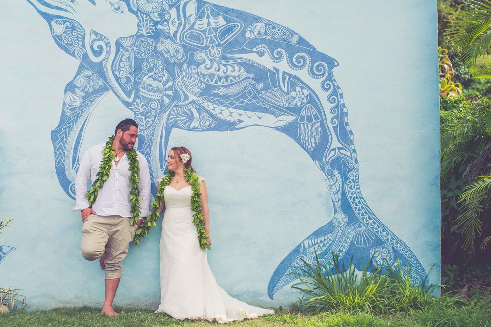 whale centre rarotonga 