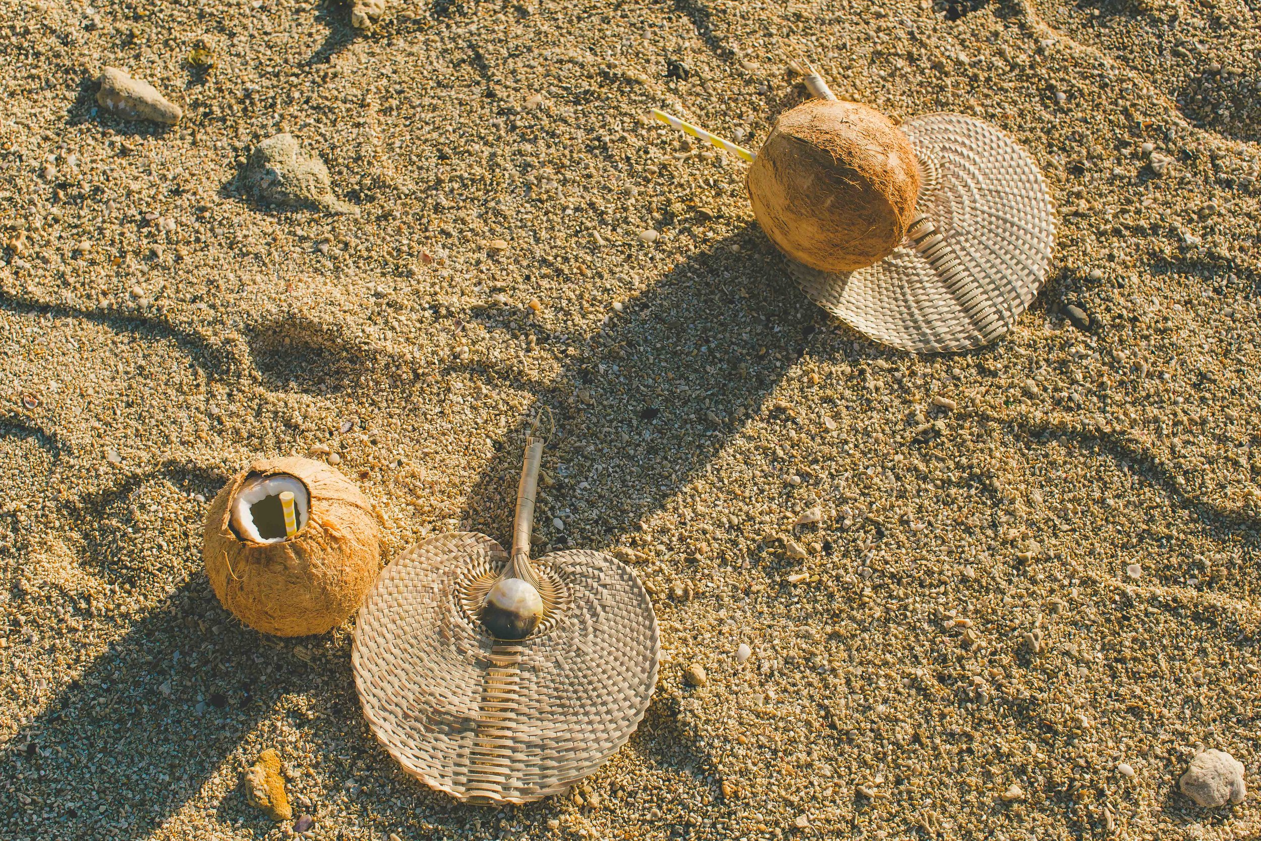 rarotonga coconut