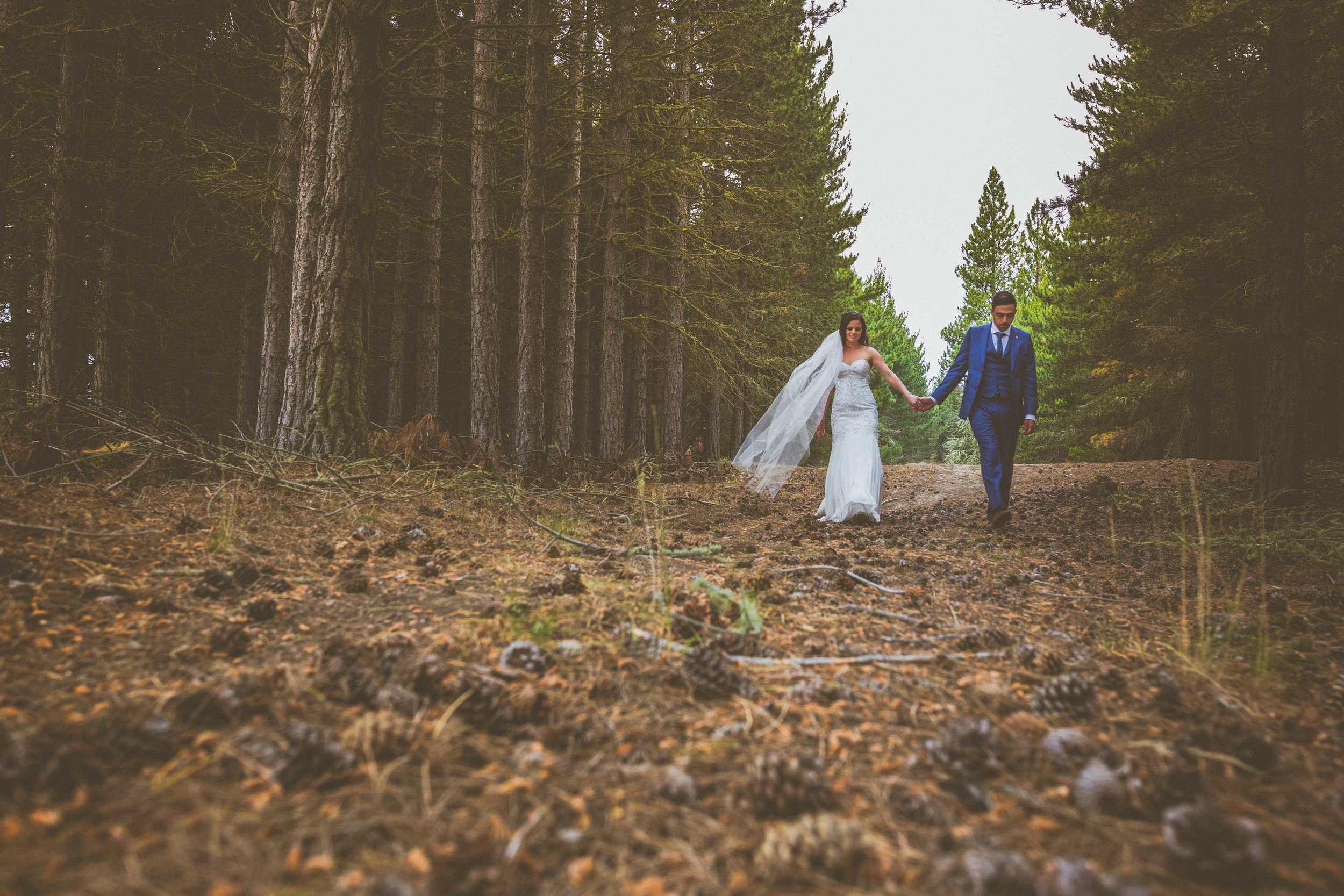 Pine Forest Lake Tekapo Wedding