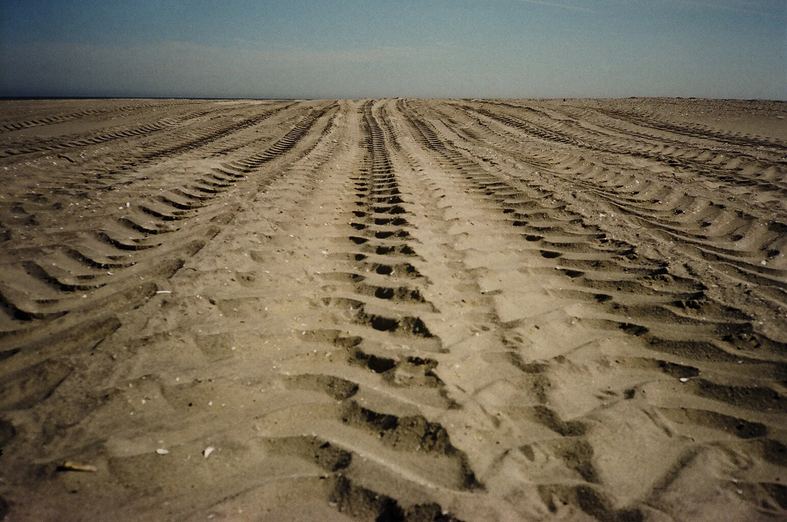 beachtracks.jpg