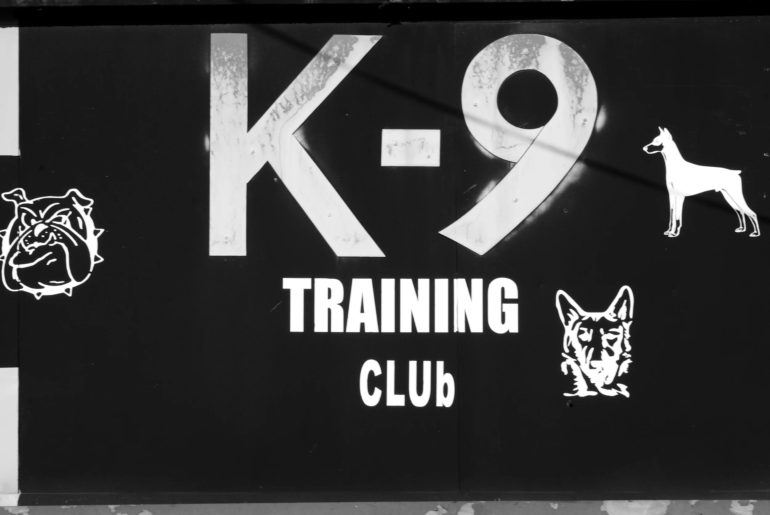 k9trainingclub.jpg